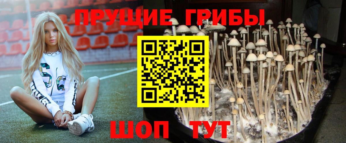 Галлюциногенные грибы MAGIC MUSHROOMS  Вход с VPN  наркотики  Шахты  Псилоцибиновые грибы прущие грибы 